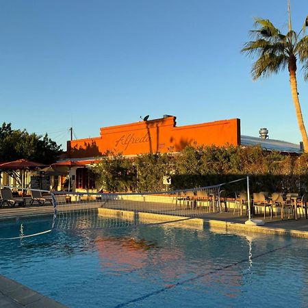 Hotel Las Palmas Сан-Фелипе Экстерьер фото