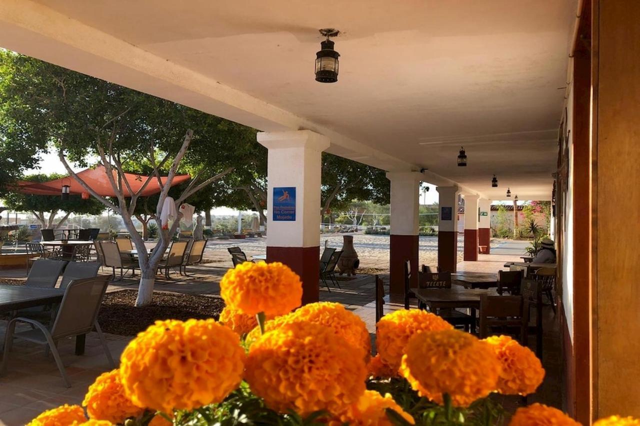 Hotel Las Palmas Сан-Фелипе Экстерьер фото